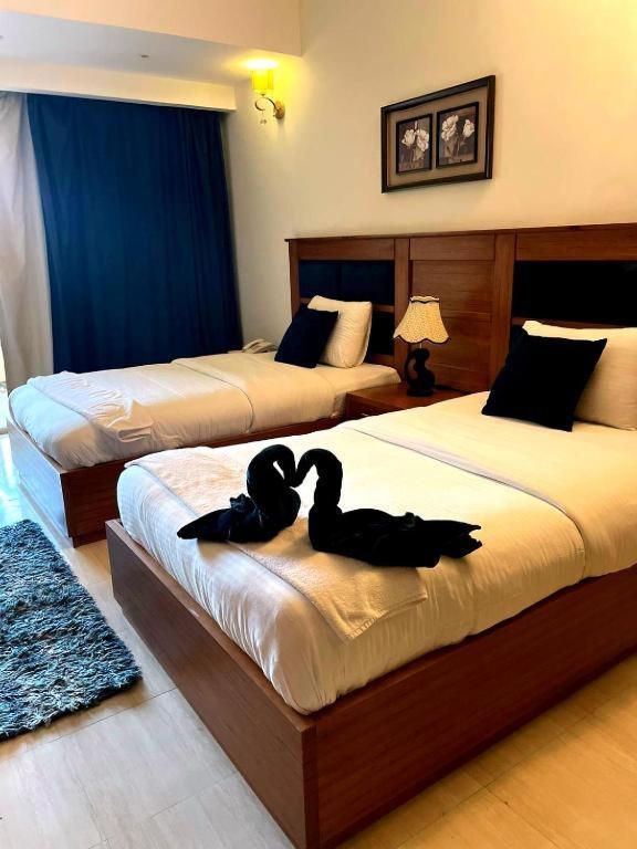 Palma Vision Hotel Inside Palma Resort & Diving Club フルガダ エクステリア 写真
